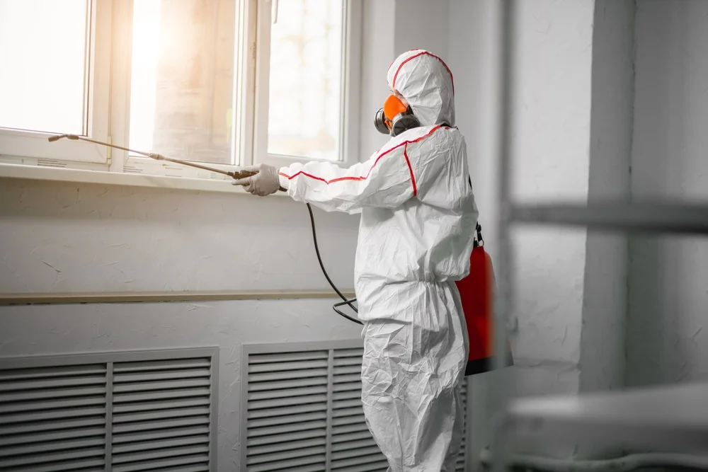 Professional mold remediation services in Middletown, CT